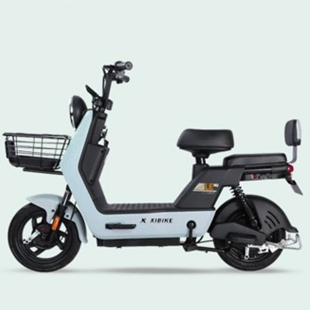YTYIN 고품질 전기 자전거 재고 배송 500w 14 - Carbon Bike Frame 리뷰 및 가격